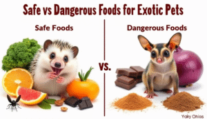 What You Need Before Bringing a Pet Hedgehog Home